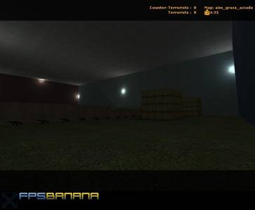 aim_grass_aziado thumb 3