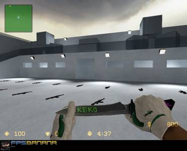 aim_ice-stylez thumb 3