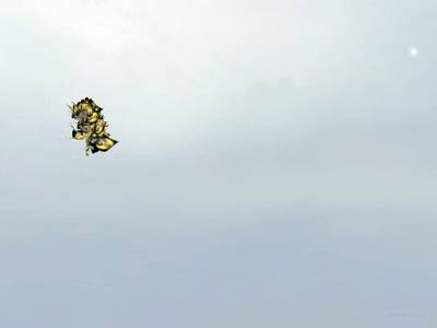 bhop_afsdgkhjl_2 thumb 4