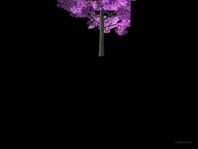 bhop_ambience thumb 3