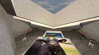 surf_life_of_cow thumb 3