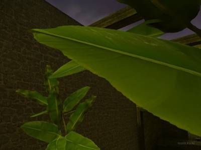 bhop_bananas_grave thumb 9