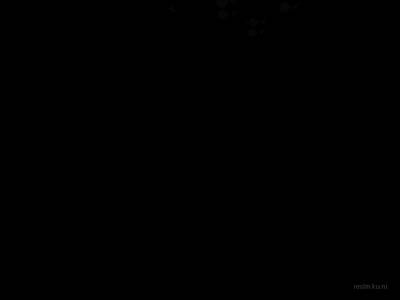 bhop_bonus_style_v6 thumb 39