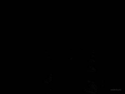 bhop_bonus_style_v6 thumb 165