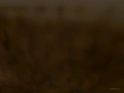 bhop_bowserroad_acer1beta thumb 30