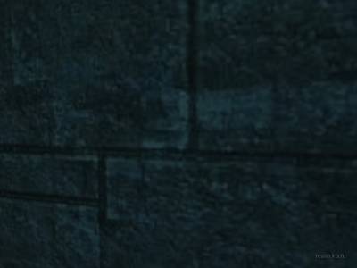 bhop_bug100_2nd thumb 4