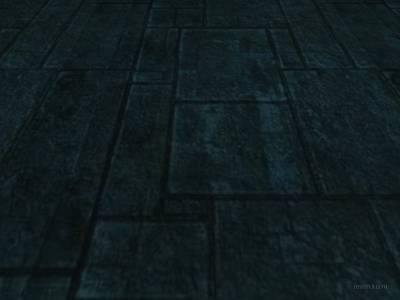 bhop_bug100_2nd thumb 41