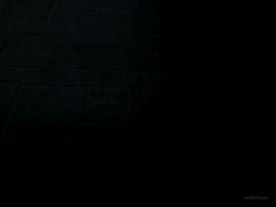 bhop_bug100_2nd thumb 14