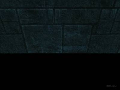 bhop_bug100_2nd thumb 26