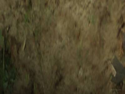 bhop_cabinwithsomewood thumb 19