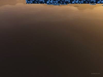 bhop_chimpmunkertop_easy thumb 9