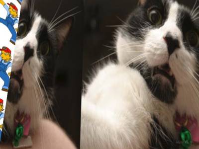 bhop_colortunnel_v3 thumb 7