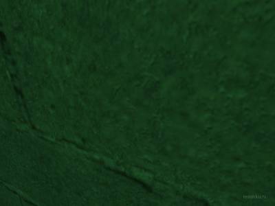 bhop_dangobango_v2 thumb 17