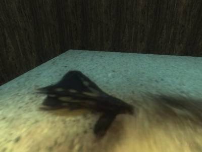 bhop_ducklife_hd thumb 42