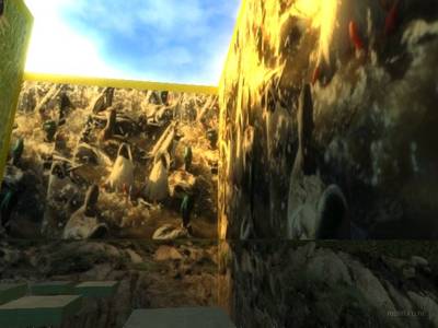 bhop_ducklife_hd thumb 17