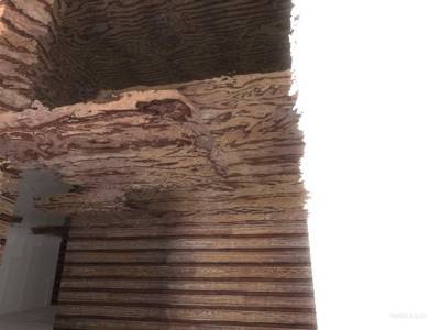 bhop_ej_wood thumb 13