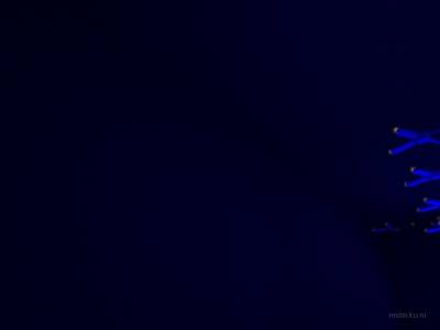 bhop_eject_sr thumb 84