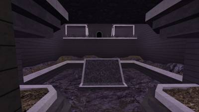 Surf_insects thumb 4