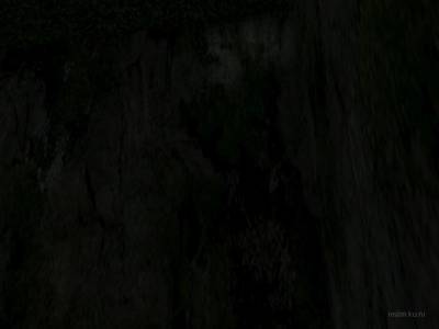 bhop_flowers_v1 thumb 68