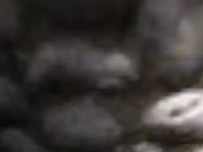 bhop_flyblocks2 thumb 6