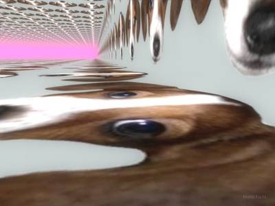 bhop_frankerz_999xl_extreme_sr thumb 11