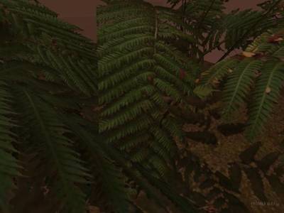 bhop_fuji_test thumb 73