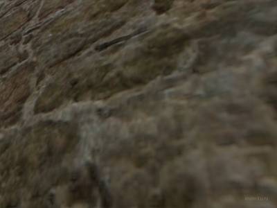 bhop_funny_bunny thumb 41