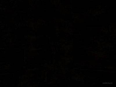 bhop_funny_bunny thumb 8