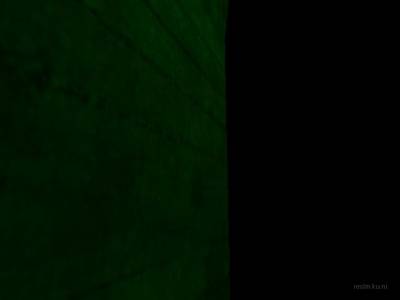 bhop_grblor_v2 thumb 54