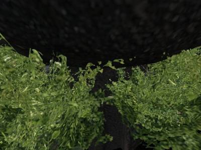 bhop_greenhouse_fpsfix thumb 4