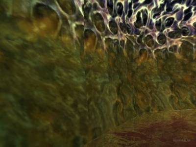 bhop_halflife10 thumb 36