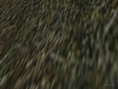 bhop_humangrace thumb 4