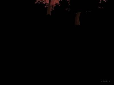 bhop_linear_forest1 thumb 30
