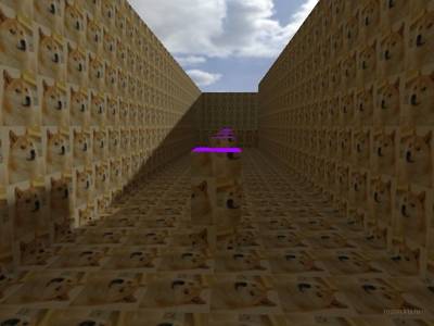 bhop_omfgdoges thumb 10
