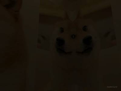 bhop_omfgdoges_ez thumb 7