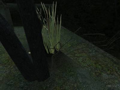 bhop_pazirontti_omgicansee thumb 3