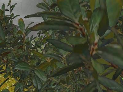 bhop_picnic_css thumb 32