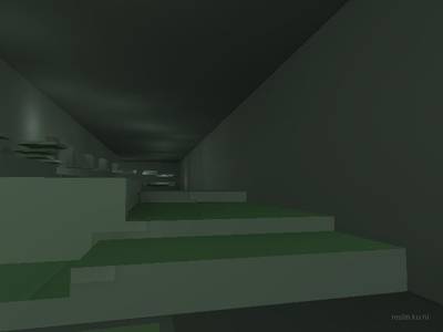 bhop_sinensis thumb 22
