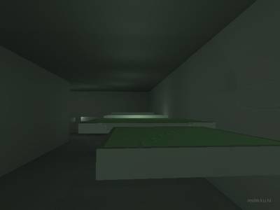 bhop_sinensis thumb 19