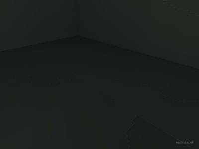 bhop_sinensis thumb 20