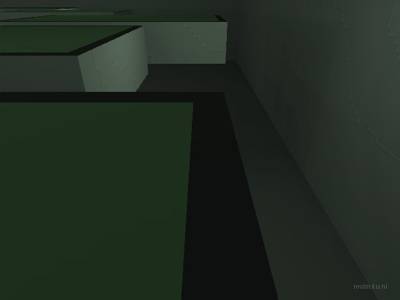 bhop_sinensis thumb 14