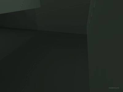 bhop_sinensis thumb 23