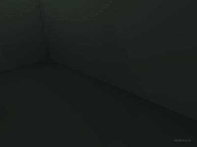 bhop_sinensis thumb 5