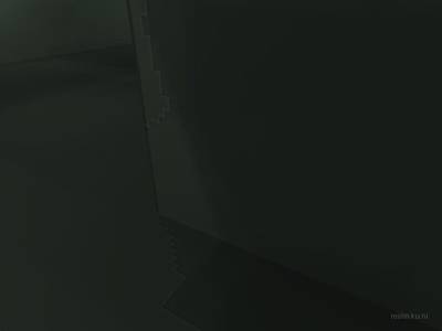 bhop_sinensis thumb 10