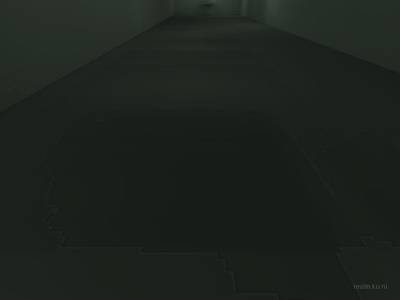 bhop_sinensis thumb 21
