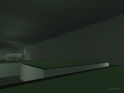 bhop_sinensis thumb 15