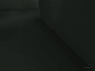 bhop_sinensis thumb 2