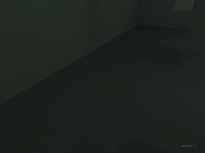 bhop_sinensis thumb 11