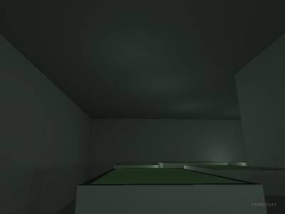 bhop_sinensis thumb 16