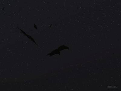 bhop_suitsuke_night thumb 5